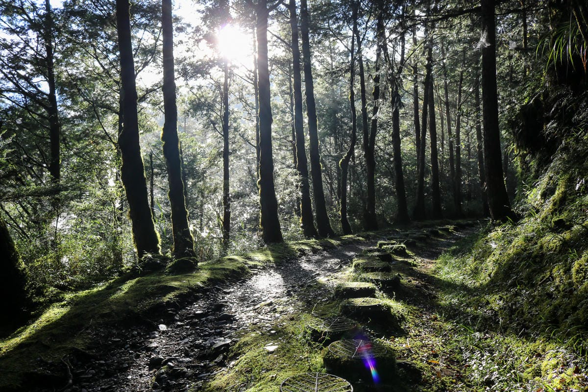 太平山翠峰湖兩日夜宿翠峰山屋 全球最美見晴懷古與山毛櫸步道