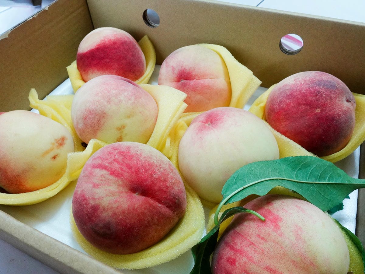 復興鄉拉拉山水蜜桃好吃到流湯 現採免運老蝦開團