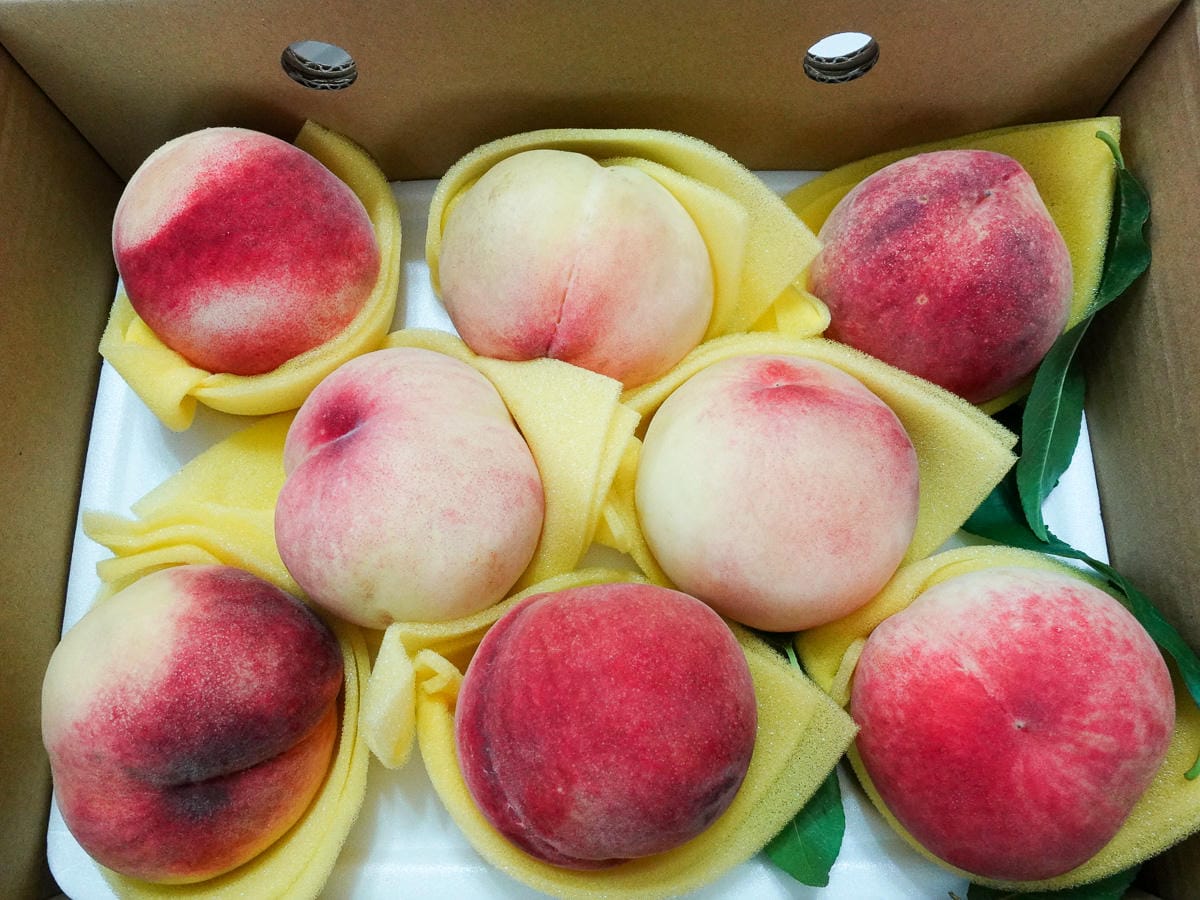 復興鄉拉拉山水蜜桃好吃到流湯 現採免運老蝦開團