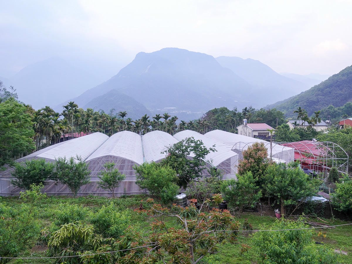 南投望鄉部落最棒旅館 達芭凱花園民宿與他的超狂原住民風味餐