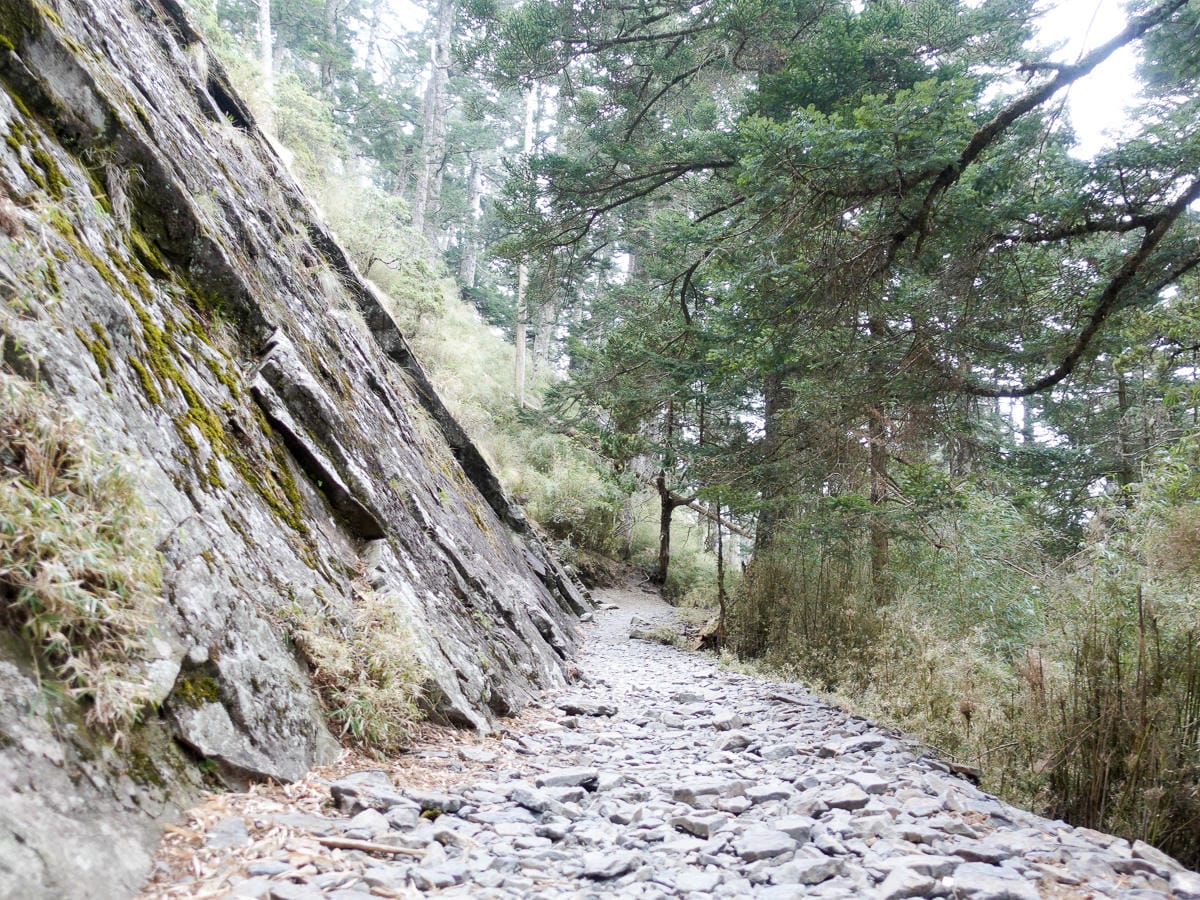 北部百岳練習場 從步道開始在不同海拔狀態登山鍛鍊體力 - 第9張圖 北部百岳練習場 從步道開始在不同海拔狀態登山鍛鍊體力