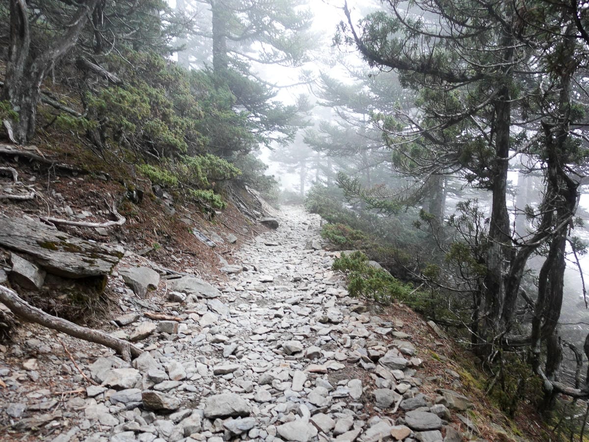 北部百岳練習場 從步道開始在不同海拔狀態登山鍛鍊體力 - 第4張圖 北部百岳練習場 從步道開始在不同海拔狀態登山鍛鍊體力