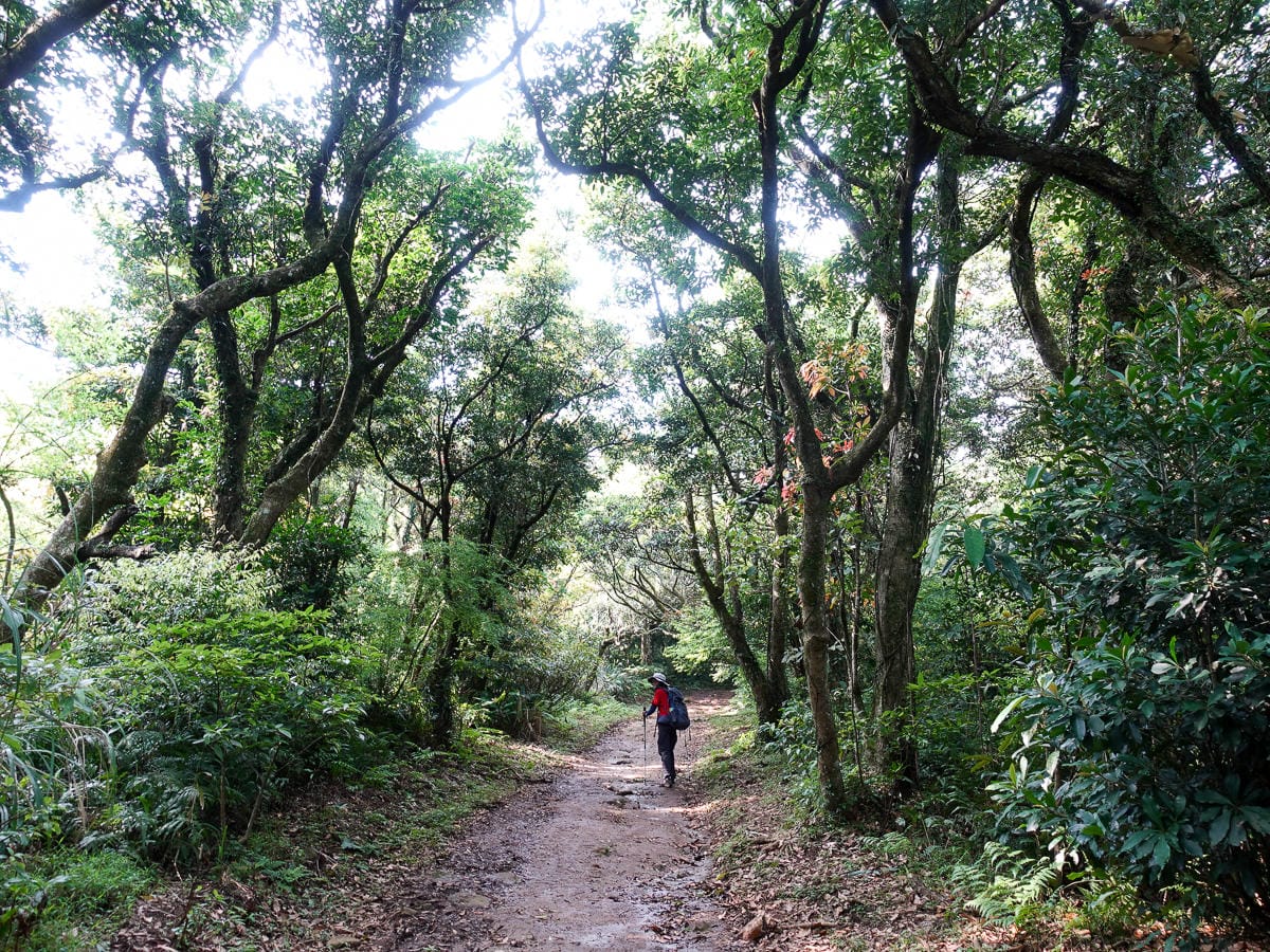 陽明山不是很簡單嗎？大自然永遠殘酷之登山健行警覺性