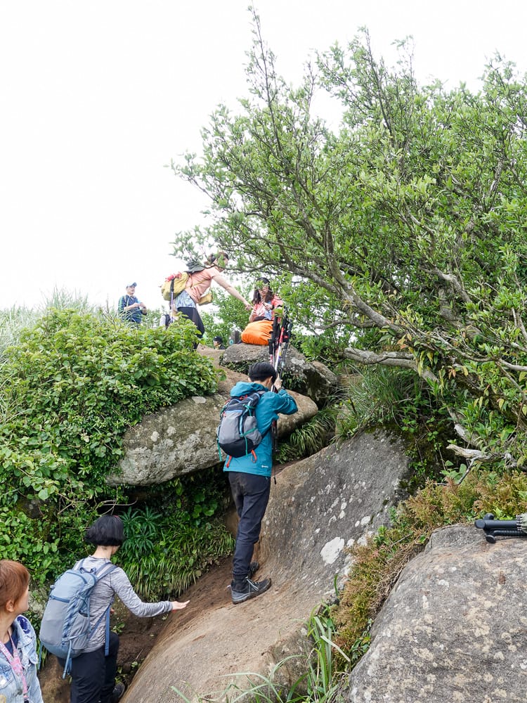 陽明山不是很簡單嗎？大自然永遠殘酷之登山健行警覺性