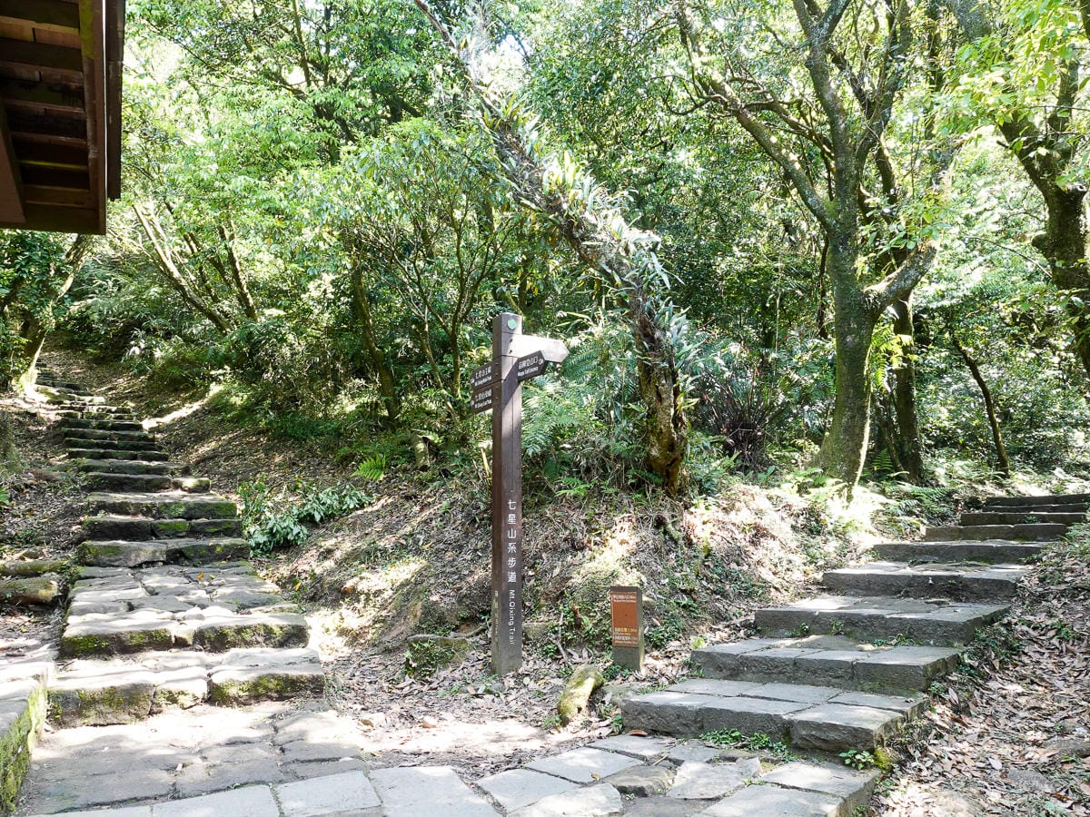 陽明山不是很簡單嗎？大自然永遠殘酷之登山健行警覺性