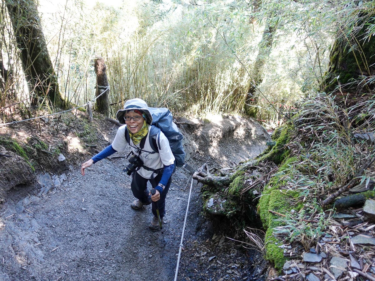 北部百岳練習場 從步道開始在不同海拔狀態登山鍛鍊體力 - 第12張圖 北部百岳練習場 從步道開始在不同海拔狀態登山鍛鍊體力