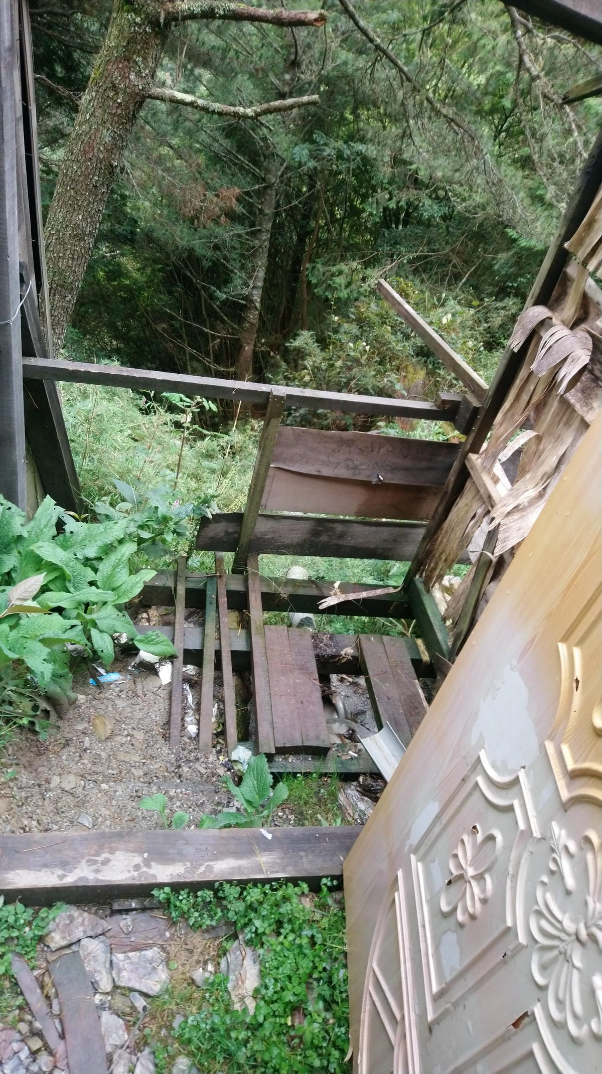 郡大山百岳入門新手路線