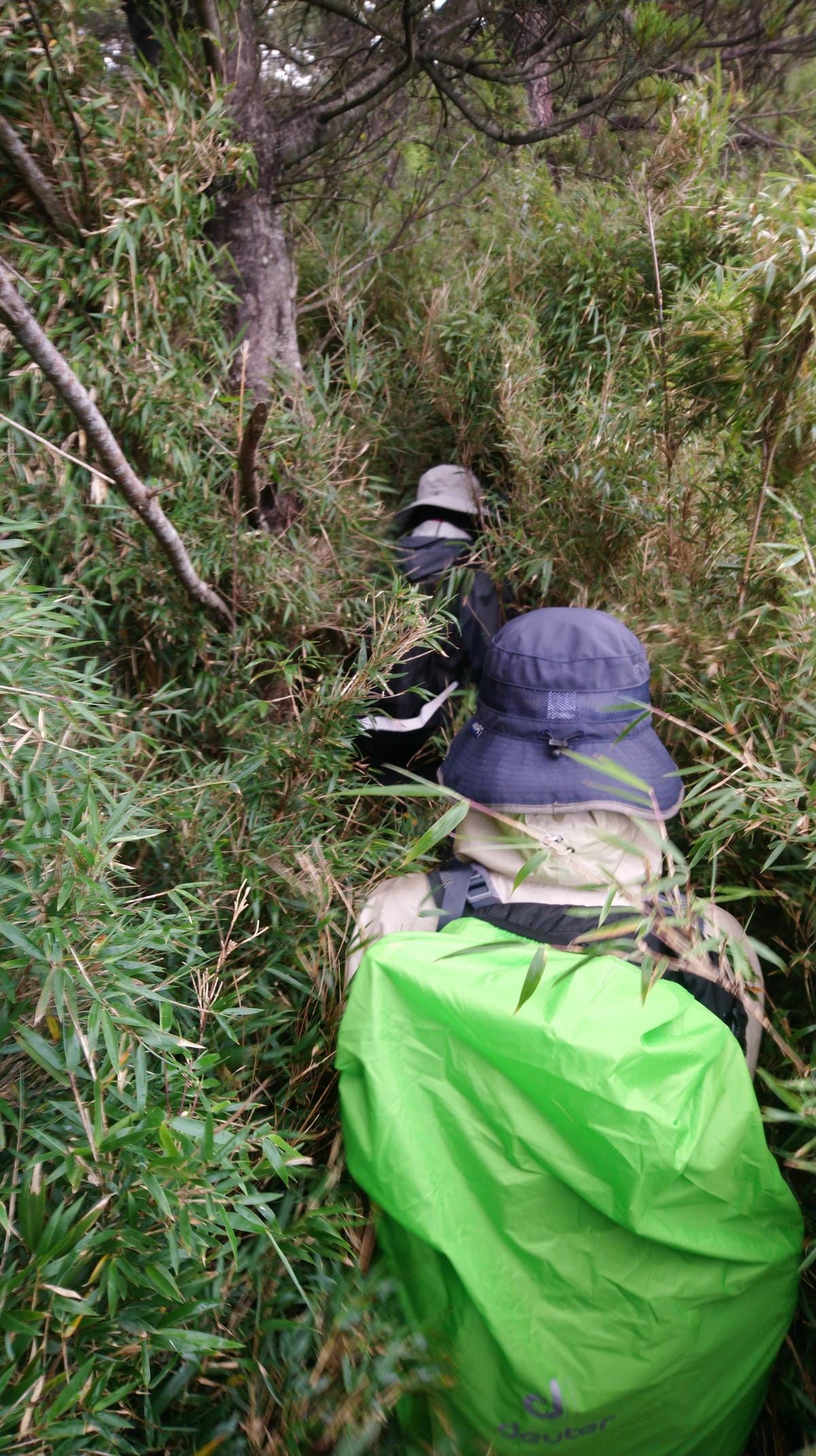 郡大山百岳入門新手路線