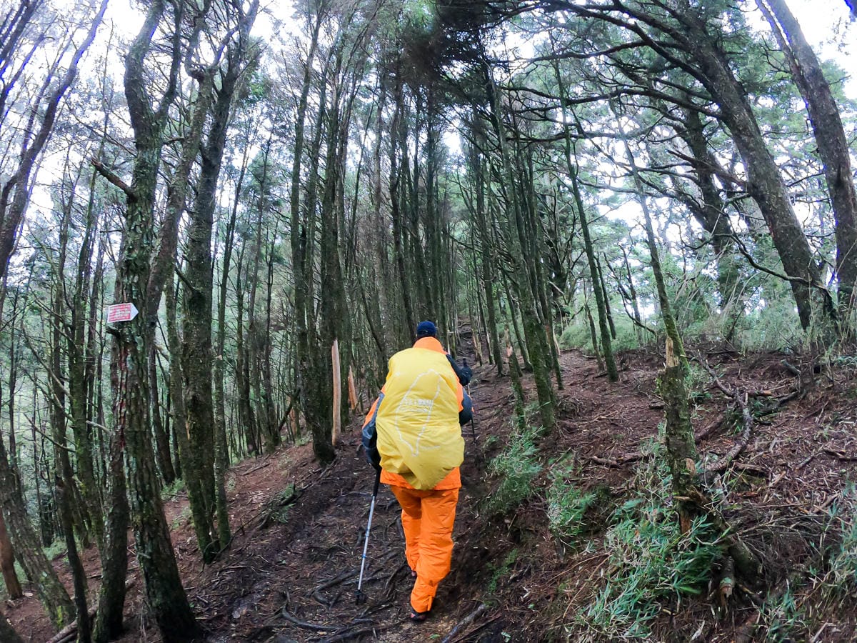 不要小看郡大山 新手百岳八秀之雲海無限好 郡大林道搭車有技巧