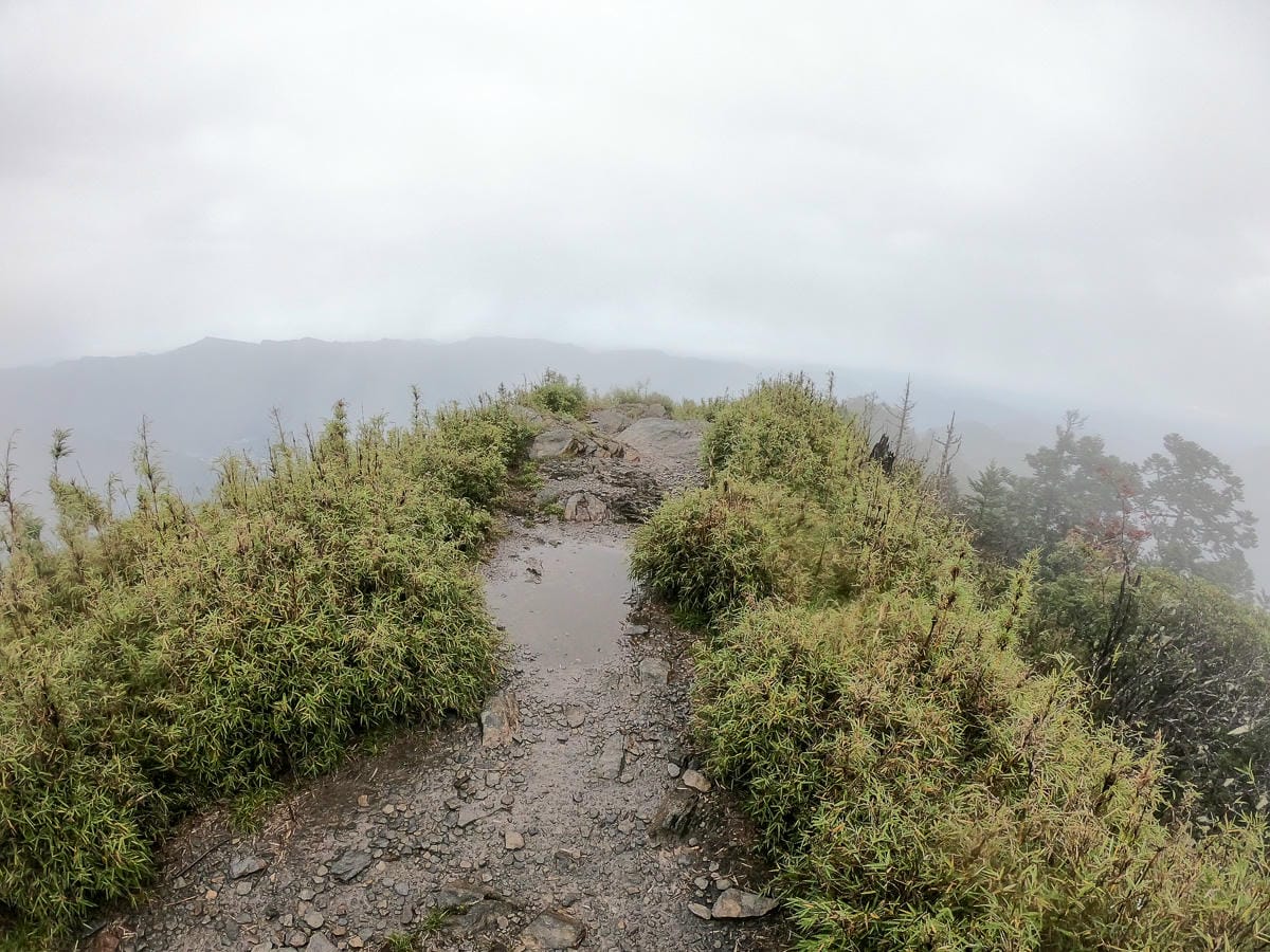 不要小看郡大山 新手百岳八秀之雲海無限好 郡大林道搭車有技巧