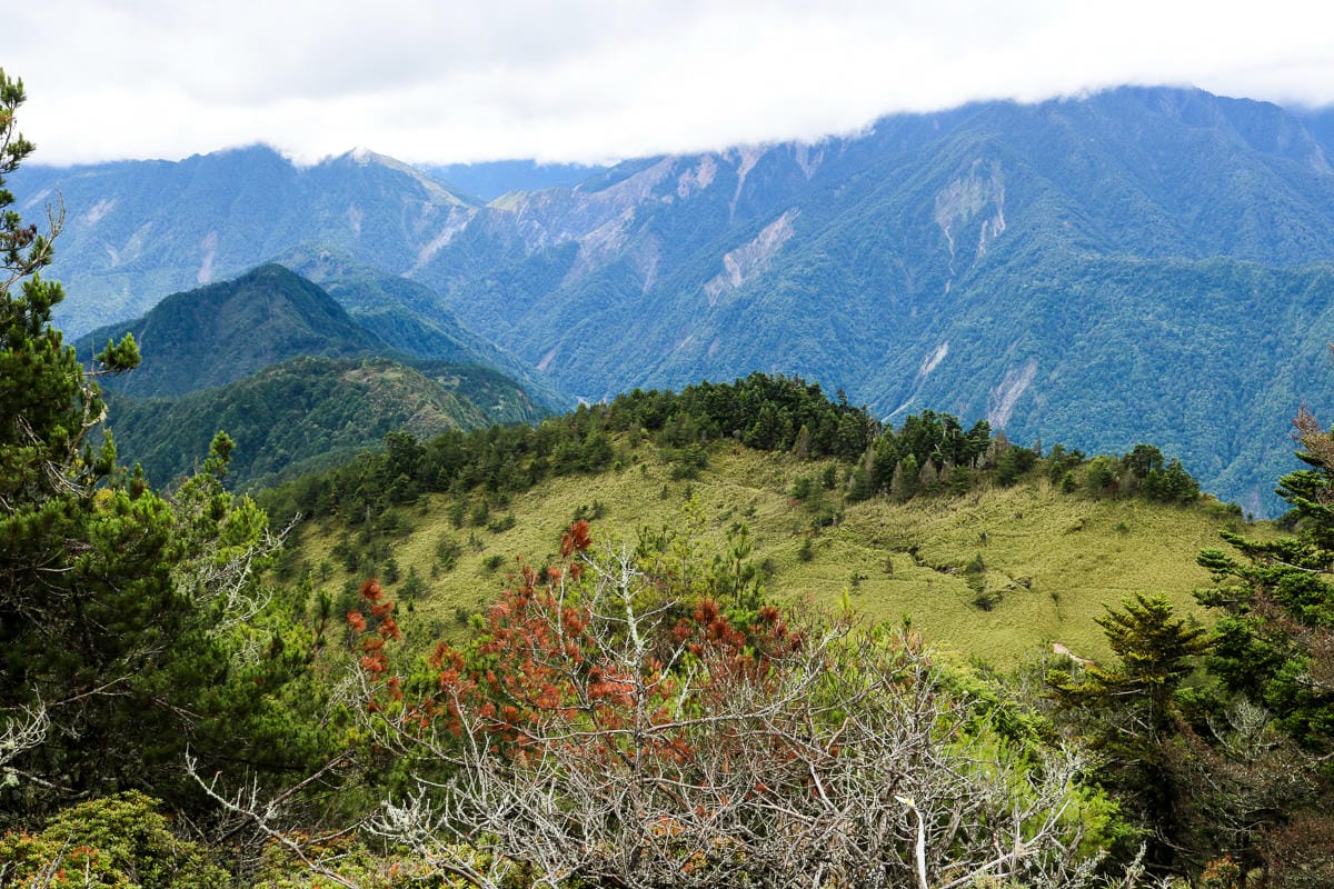 不要小看郡大山 新手百岳八秀之雲海無限好 郡大林道搭車有技巧