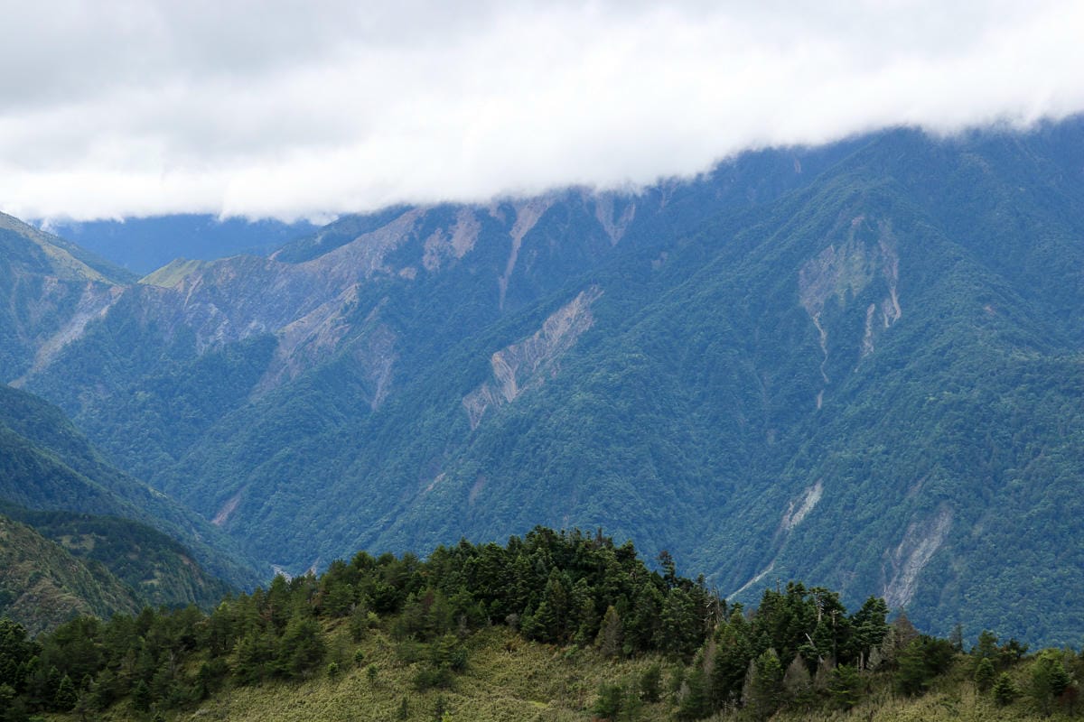 不要小看郡大山 新手百岳八秀之雲海無限好 郡大林道搭車有技巧