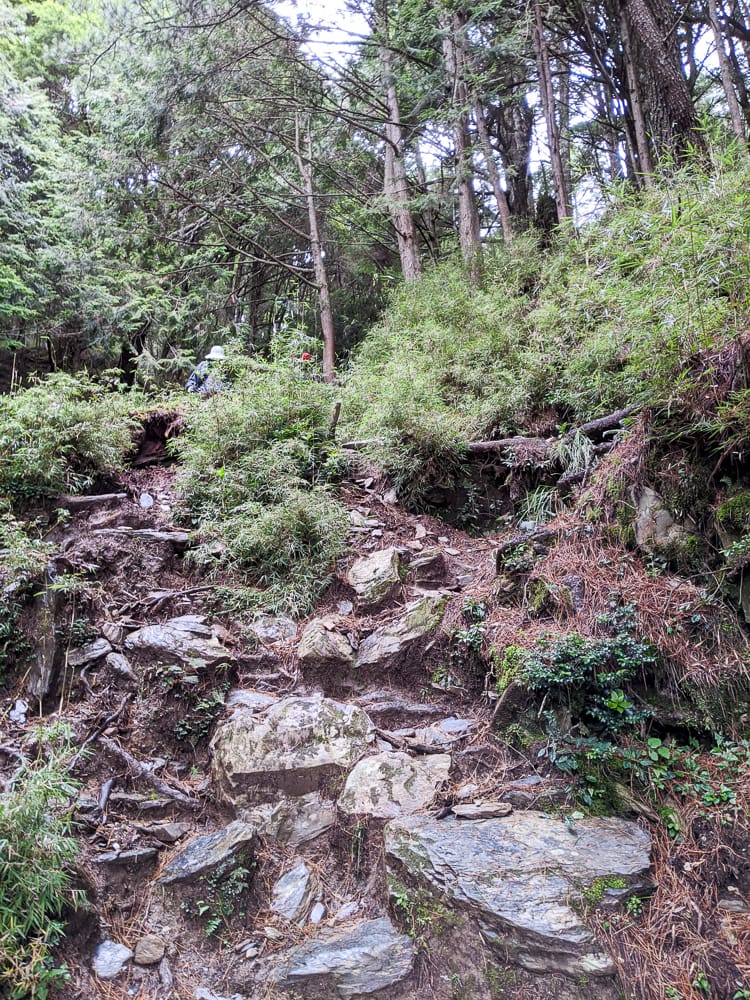 不要小看郡大山 新手百岳八秀之雲海無限好 郡大林道搭車有技巧