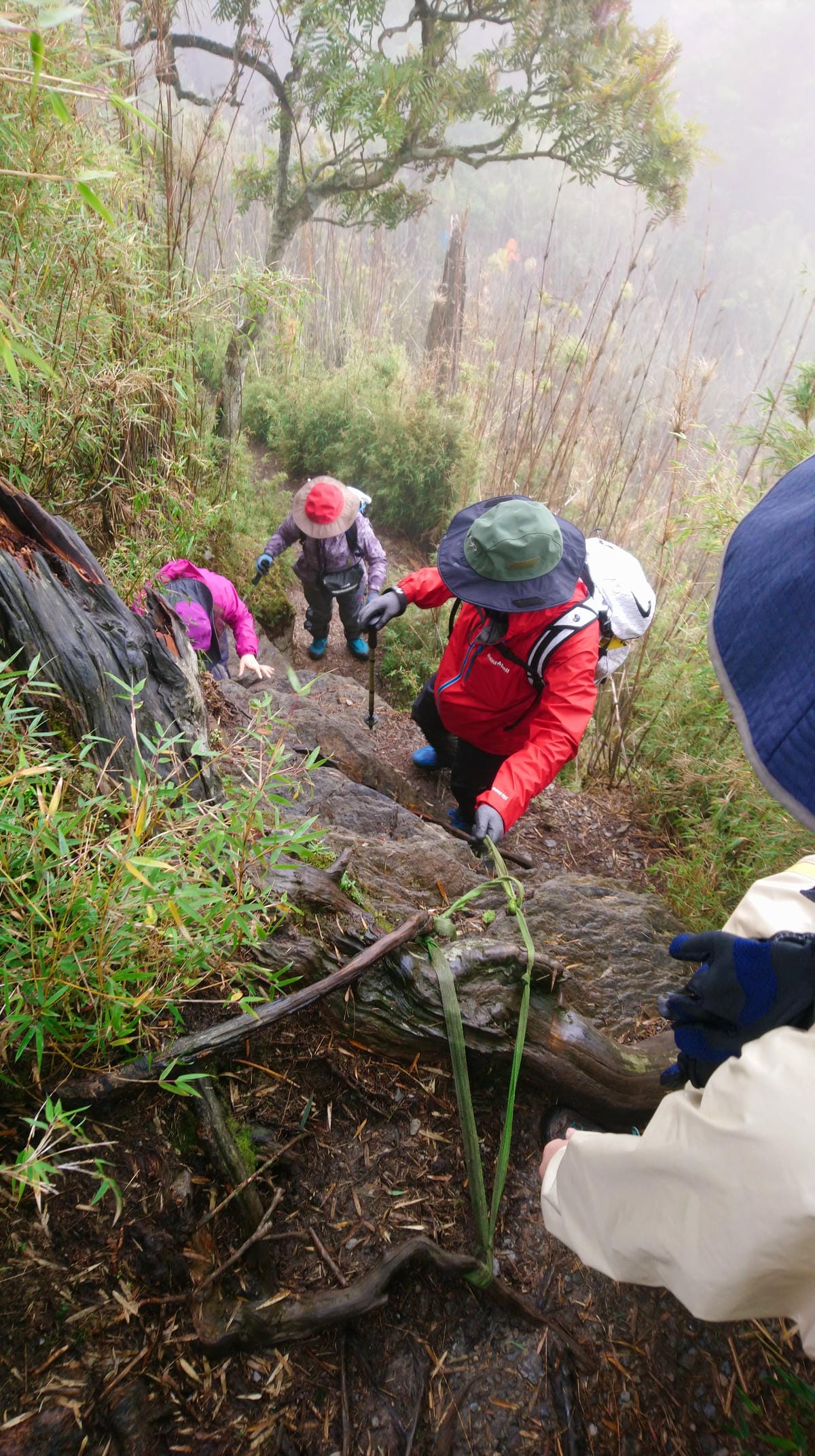 不要小看郡大山 新手百岳八秀之雲海無限好 郡大林道搭車有技巧