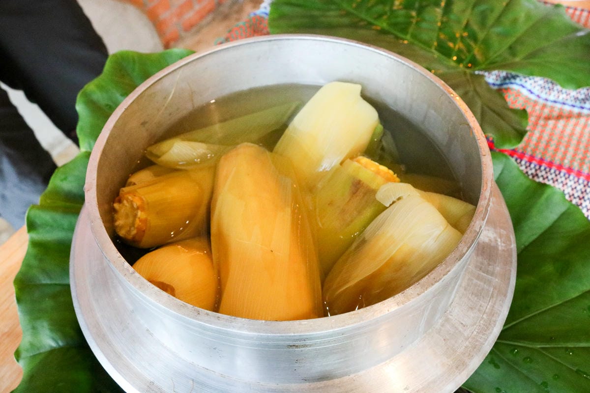 南投望鄉部落最棒旅館 達芭凱花園民宿與他的超狂原住民風味餐