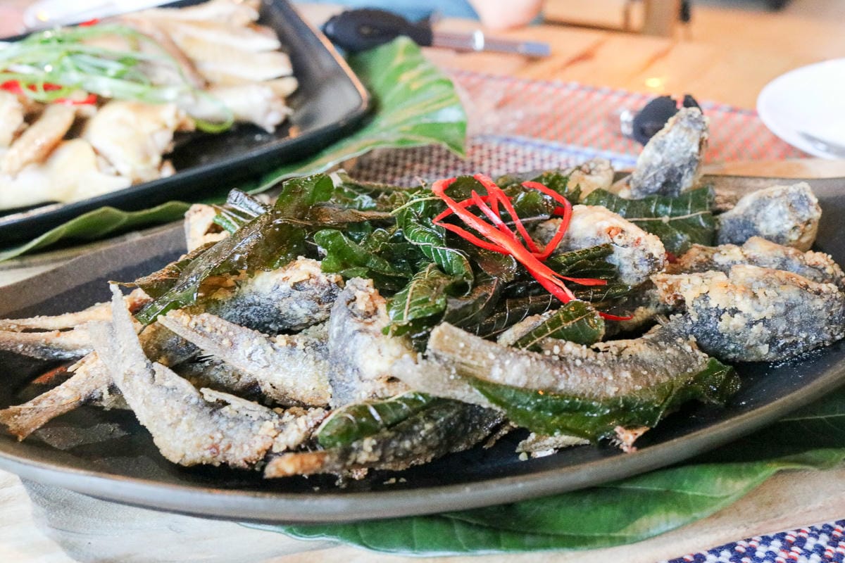 南投望鄉部落最棒旅館 達芭凱花園民宿與他的超狂原住民風味餐