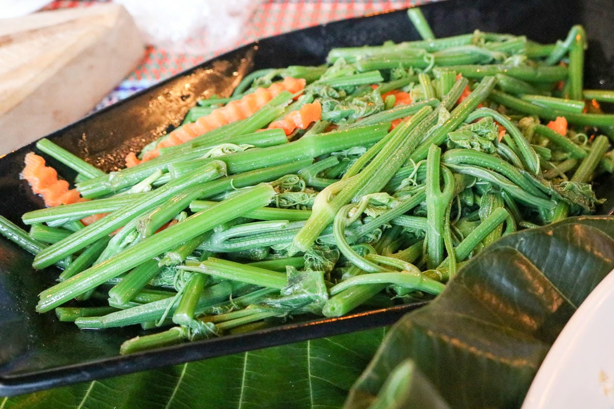 南投望鄉部落最棒旅館 達芭凱花園民宿與他的超狂原住民風味餐