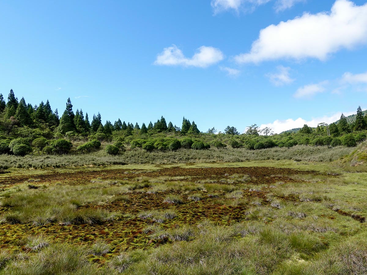 宜蘭加羅湖 加太縱走兩日露營太平山 倒木跨到飽會吃鞋的泥沼(下