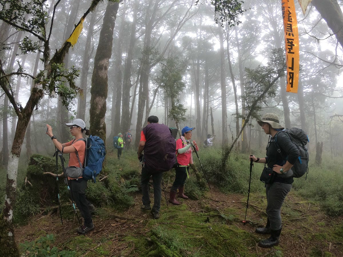 宜蘭加羅湖 加太縱走兩日露營太平山 倒木跨到飽會吃鞋的泥沼(下