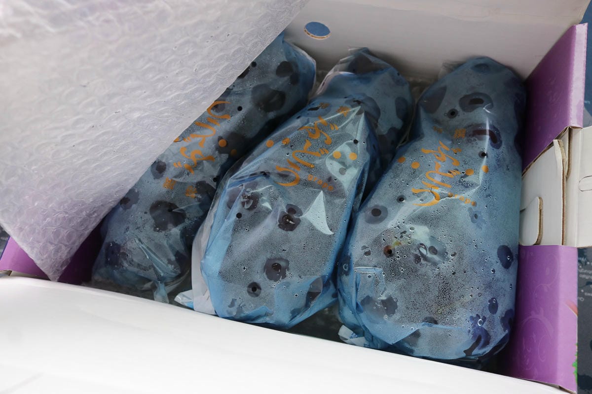 團購美食巨峰葡萄 在苗栗卓蘭喝牛奶長大怕酸者的最愛 - 第12張圖 團購美食巨峰葡萄 在苗栗卓蘭喝牛奶長大怕酸者的最愛