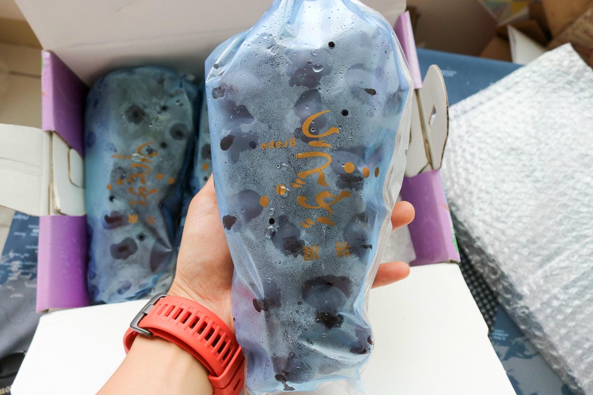 團購美食巨峰葡萄 在苗栗卓蘭喝牛奶長大怕酸者的最愛 - 第14張圖 團購美食巨峰葡萄 在苗栗卓蘭喝牛奶長大怕酸者的最愛