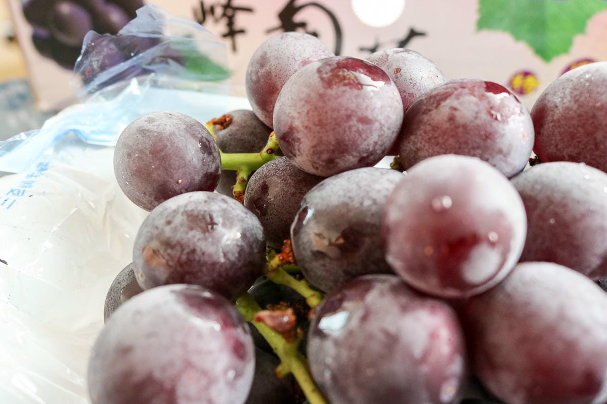 團購美食巨峰葡萄 在苗栗卓蘭喝牛奶長大怕酸者的最愛 - 第15張圖 團購美食巨峰葡萄 在苗栗卓蘭喝牛奶長大怕酸者的最愛