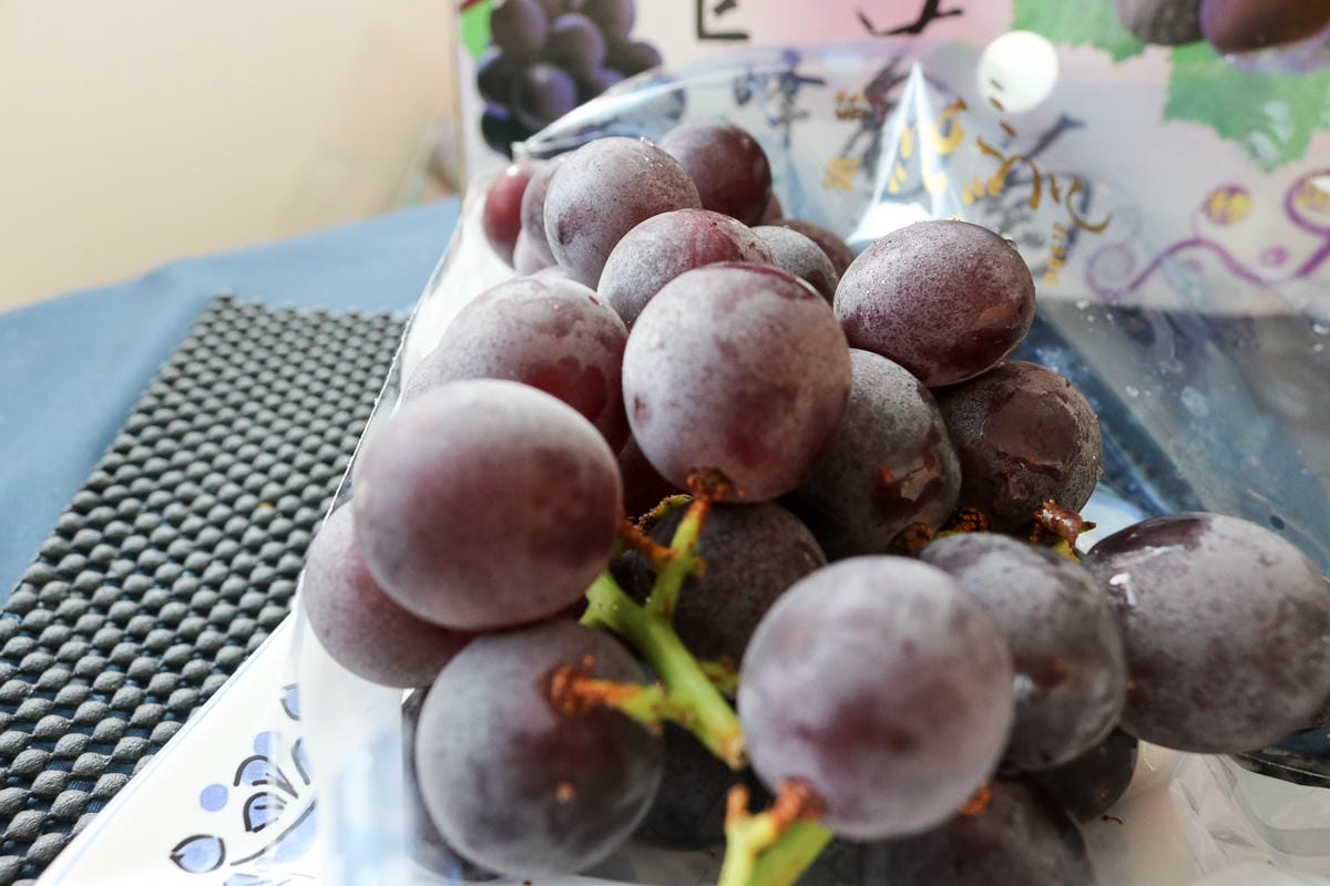 團購美食巨峰葡萄 在苗栗卓蘭喝牛奶長大怕酸者的最愛 - 第7張圖 團購美食巨峰葡萄 在苗栗卓蘭喝牛奶長大怕酸者的最愛