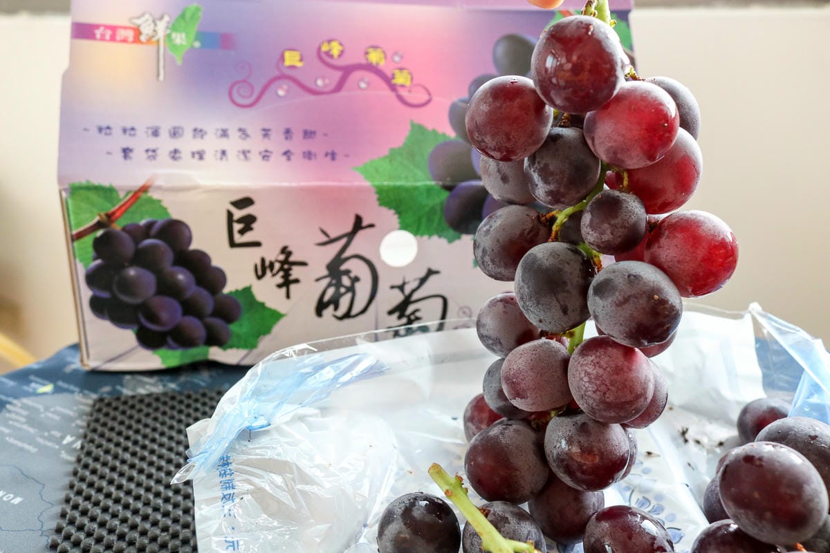 團購美食巨峰葡萄 在苗栗卓蘭喝牛奶長大怕酸者的最愛 - 第1張圖 團購美食巨峰葡萄 在苗栗卓蘭喝牛奶長大怕酸者的最愛