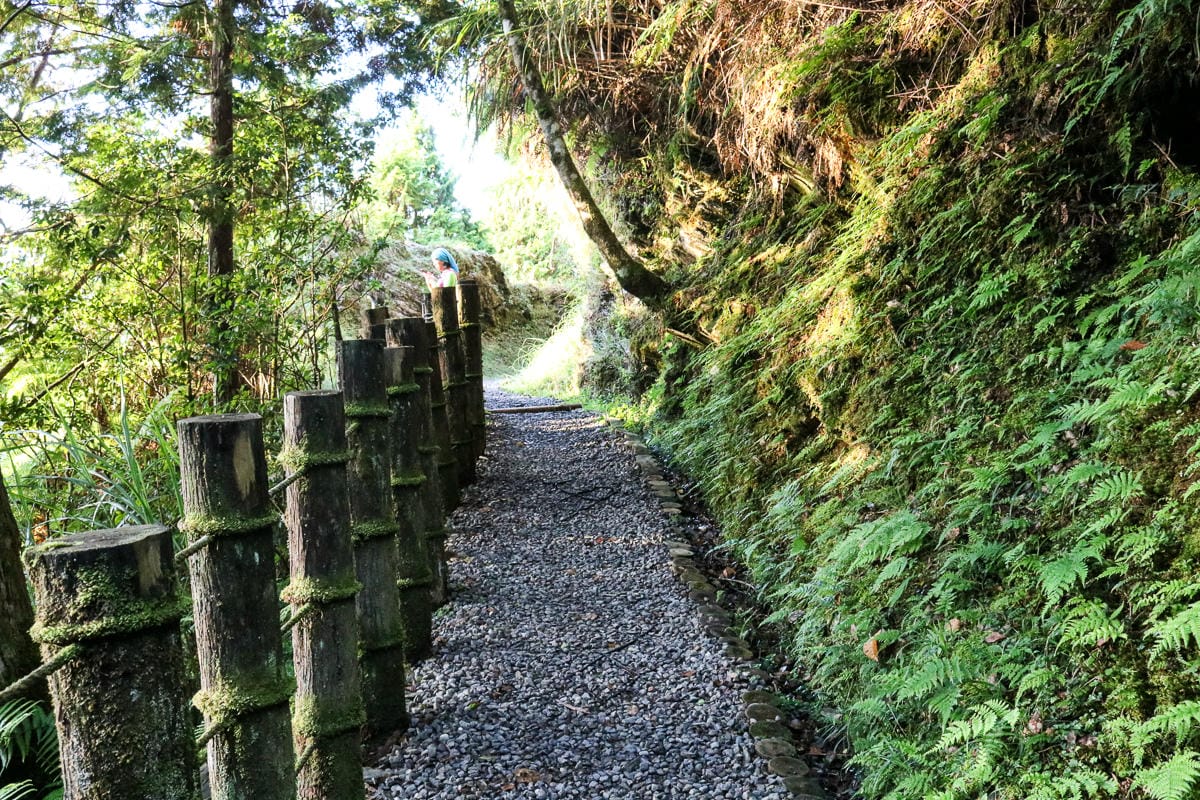 太平山翠峰湖兩日夜宿翠峰山屋 翠峰湖步道絕美日出宛若走入電影