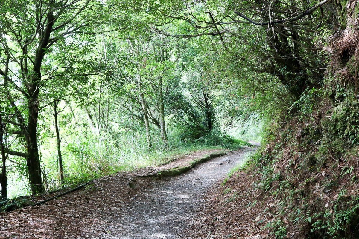 奇萊南華三天兩夜 奇萊南峰能高北峰根本能高安東軍水鹿預備團
