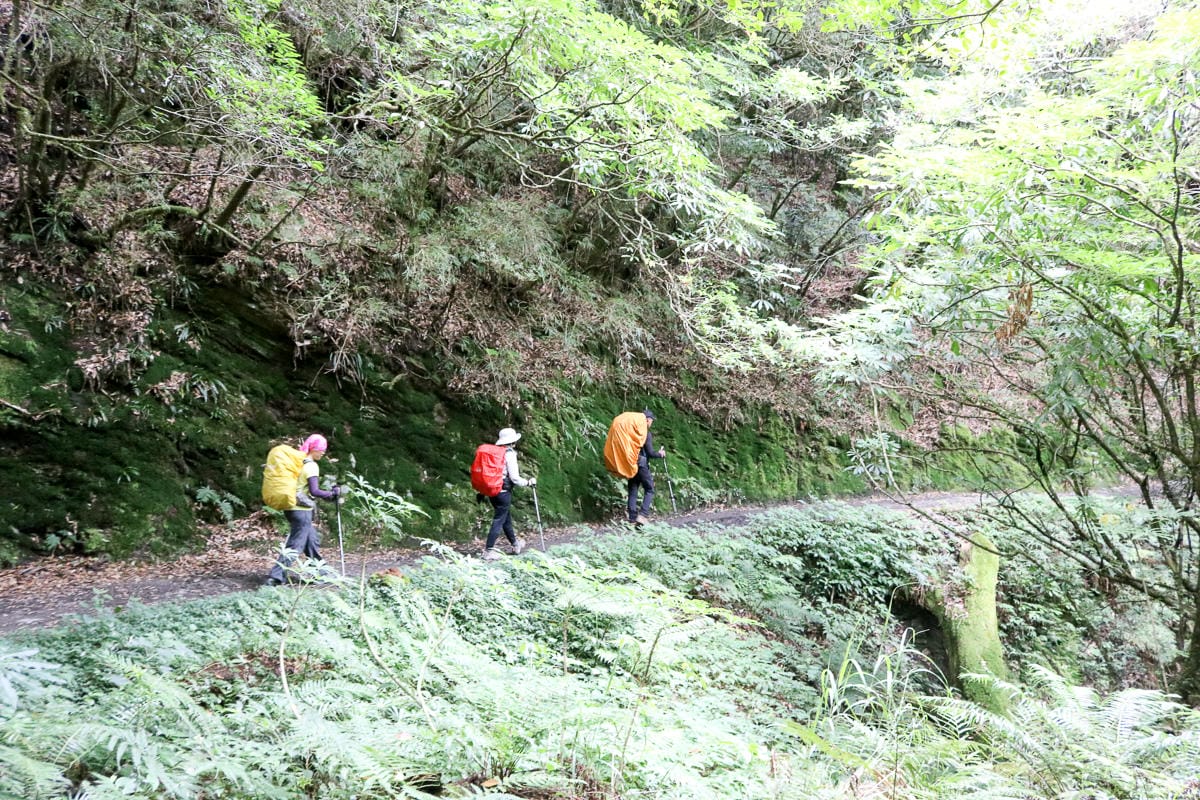 奇萊南華三天兩夜 奇萊南峰能高北峰根本能高安東軍水鹿預備團