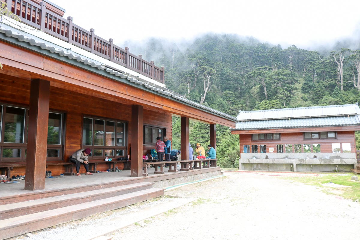奇萊南華三天兩夜 奇萊南峰南華山 滾動在金色大草原上享樂大自然
