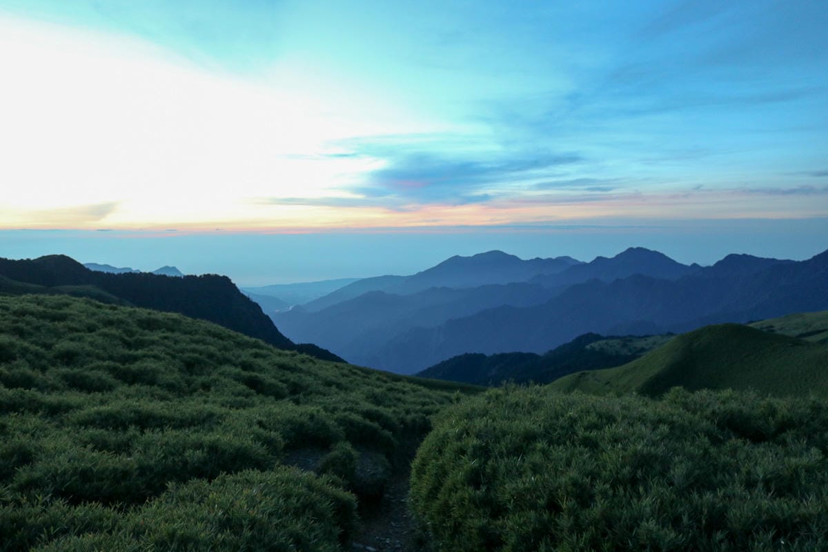 奇萊南華三天兩夜 奇萊南峰南華山 滾動在金色大草原上享樂大自然