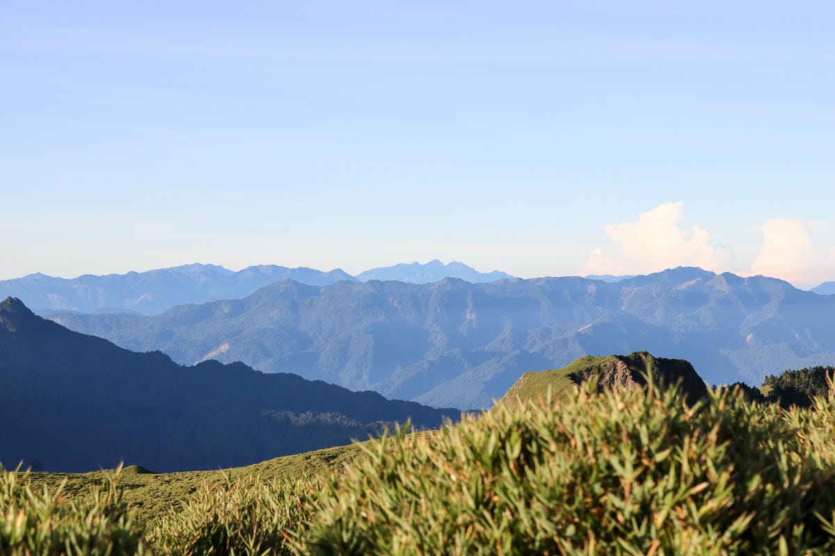 奇萊南華三天兩夜 奇萊南峰南華山 滾動在金色大草原上享樂大自然