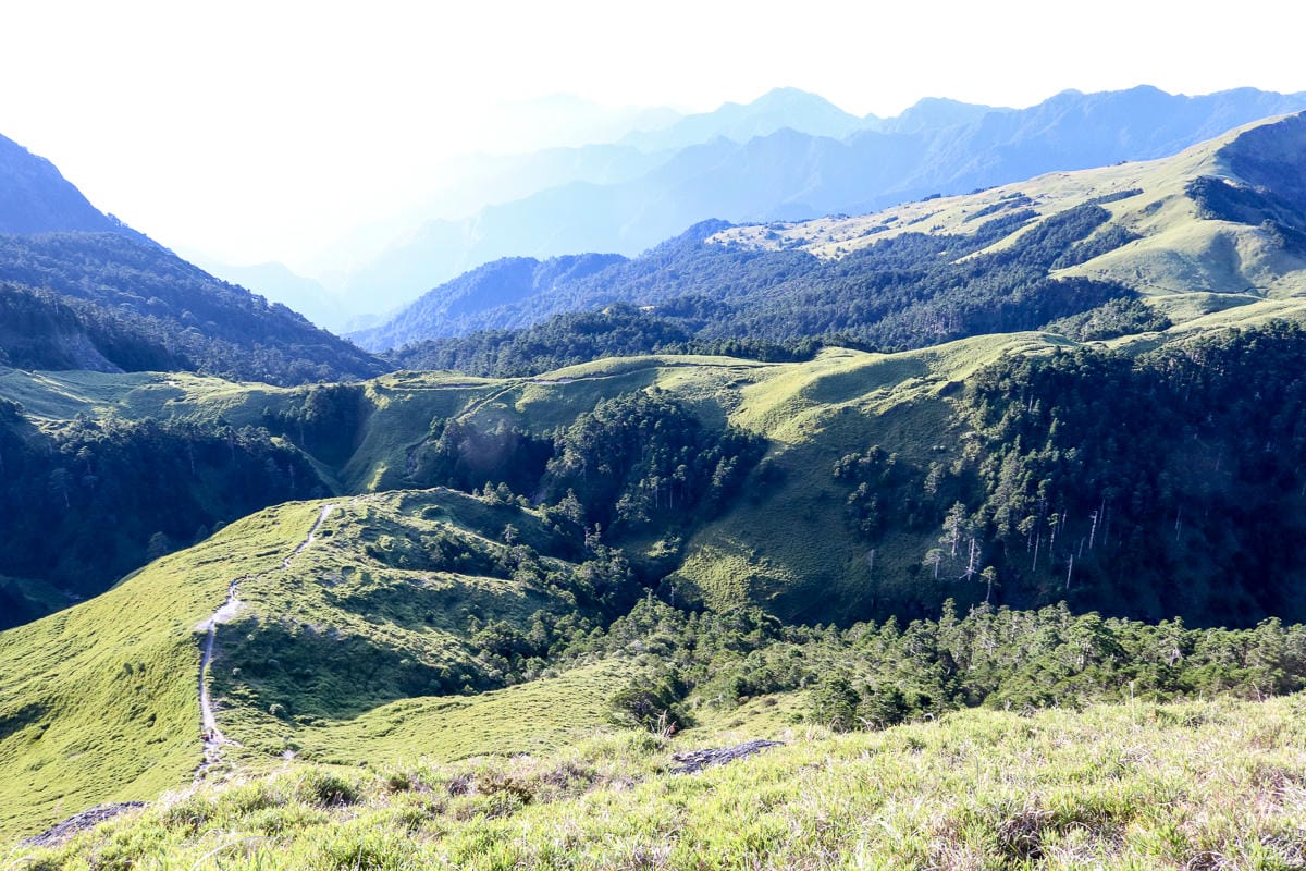奇萊南華三天兩夜 奇萊南峰南華山 滾動在金色大草原上享樂大自然
