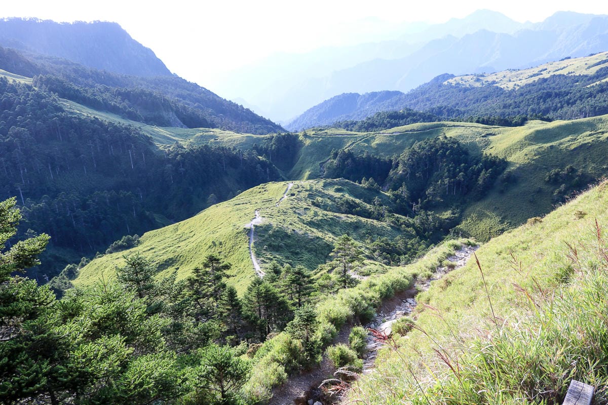 奇萊南華三天兩夜 奇萊南峰南華山 滾動在金色大草原上享樂大自然