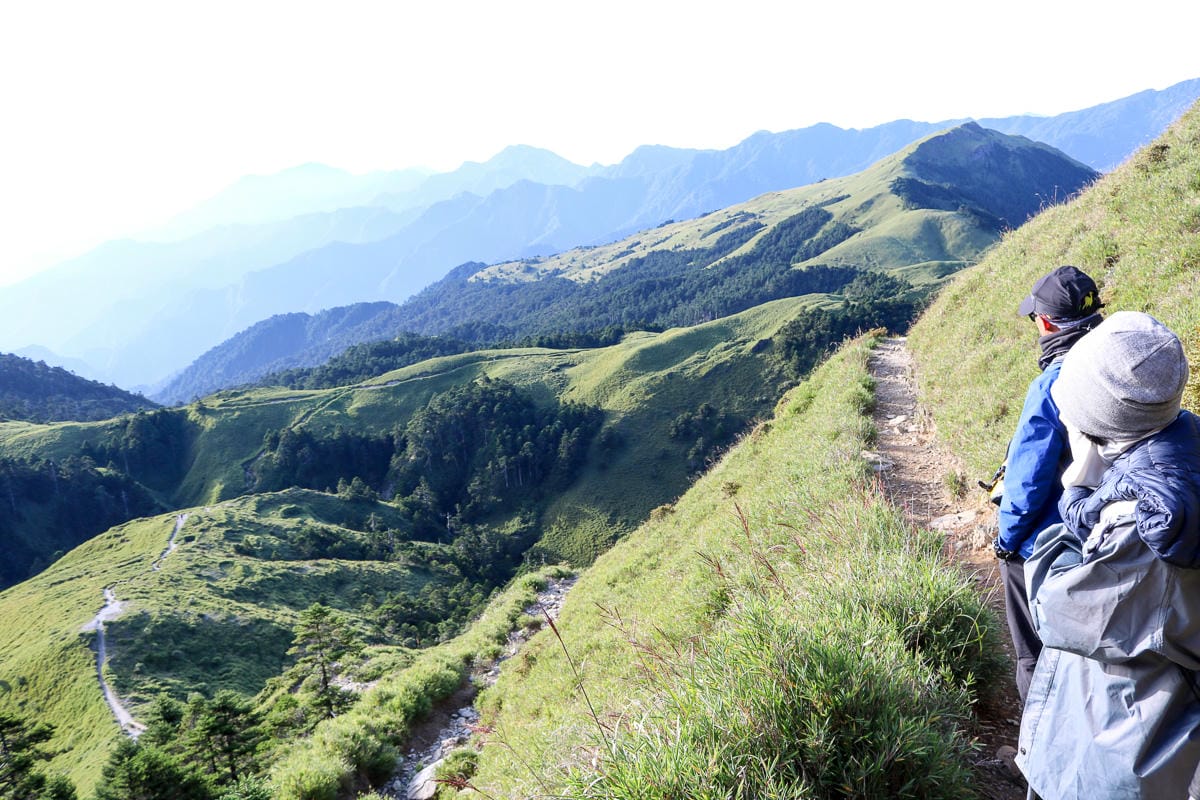 奇萊南華三天兩夜 奇萊南峰南華山 滾動在金色大草原上享樂大自然