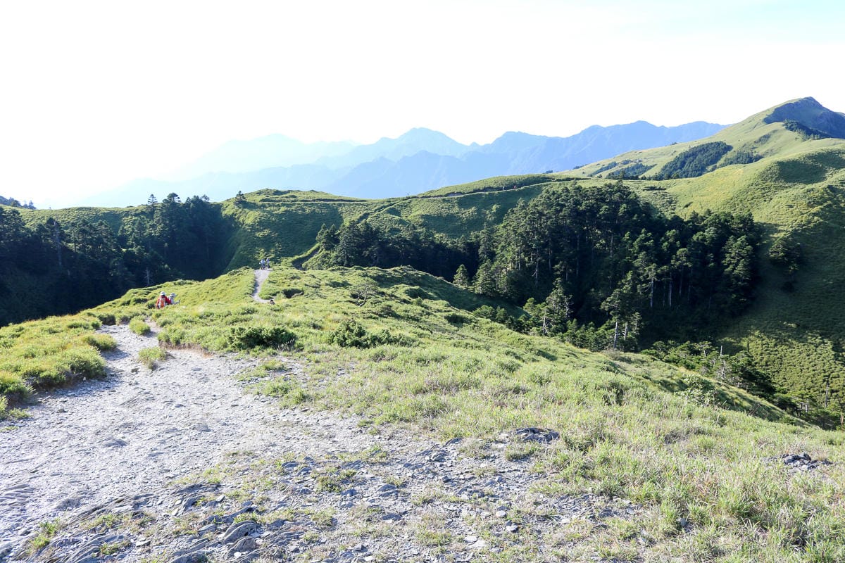奇萊南華三天兩夜 奇萊南峰南華山 滾動在金色大草原上享樂大自然
