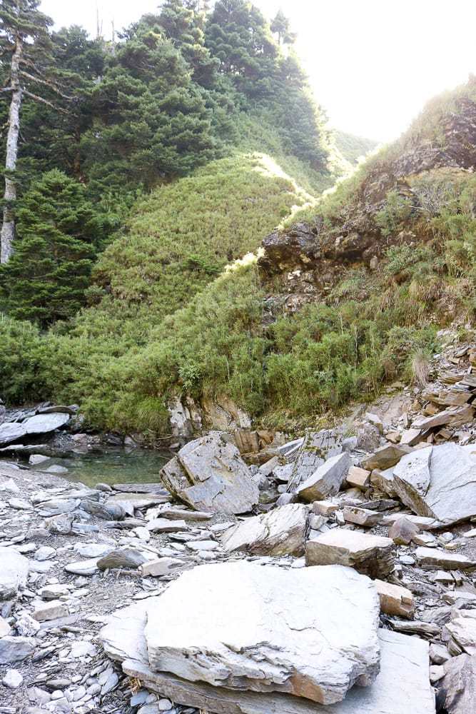 奇萊南華三天兩夜 奇萊南峰南華山 滾動在金色大草原上享樂大自然