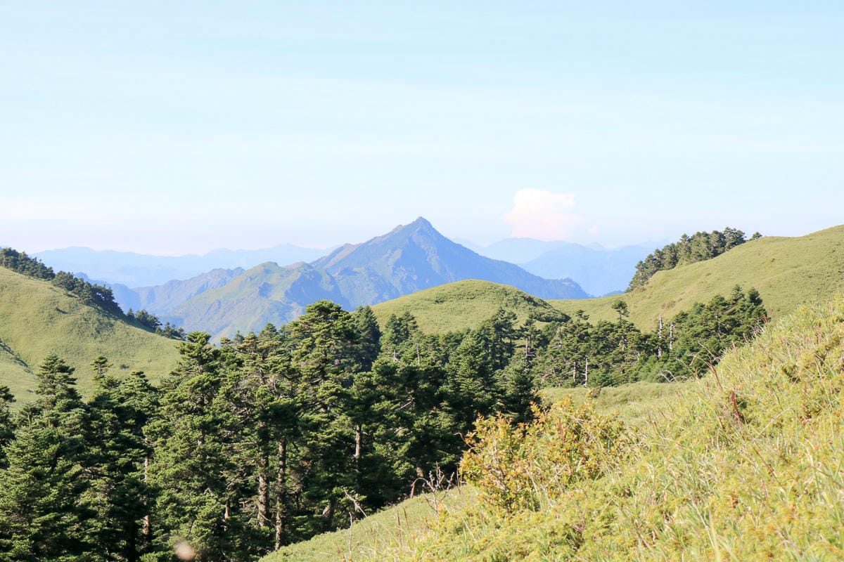 奇萊南華三天兩夜 奇萊南峰南華山 滾動在金色大草原上享樂大自然