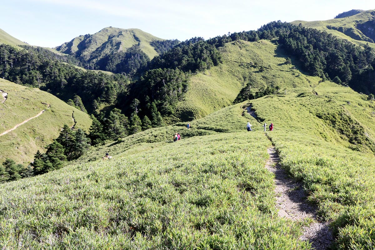 奇萊南華三天兩夜 奇萊南峰南華山 滾動在金色大草原上享樂大自然