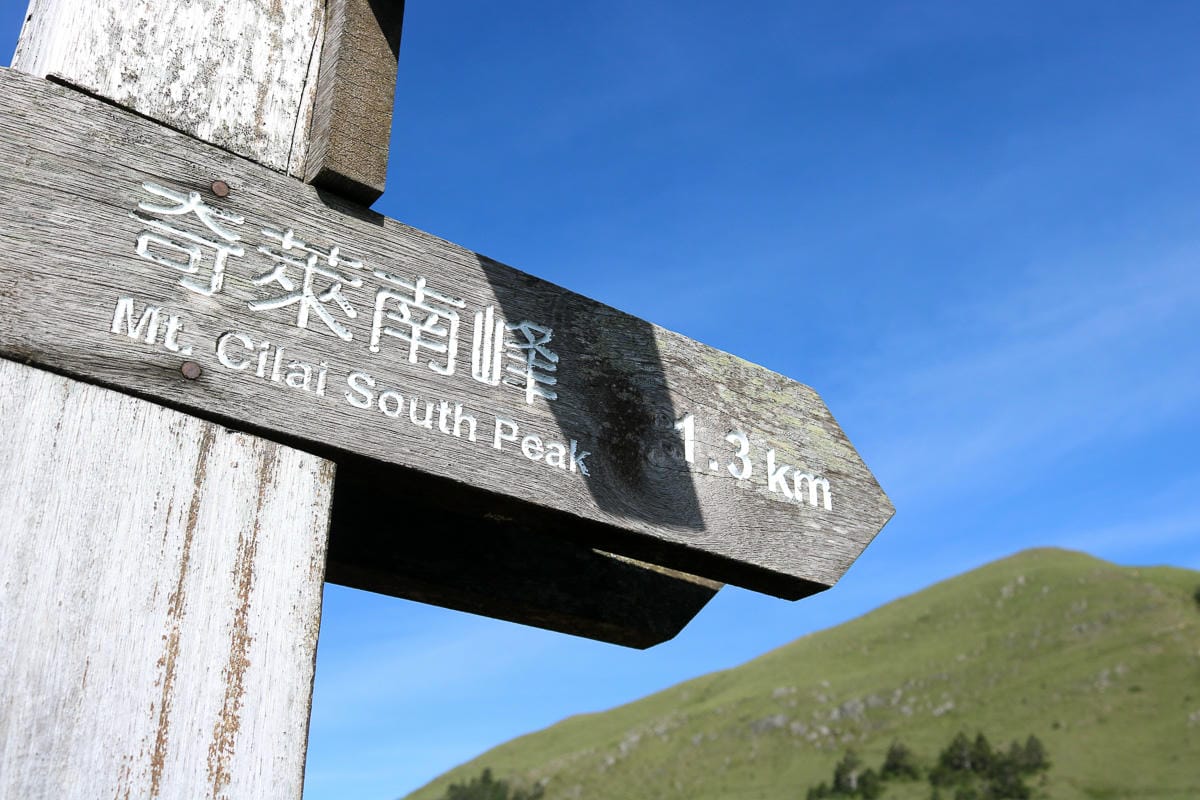 奇萊南華三天兩夜 奇萊南峰南華山 滾動在金色大草原上享樂大自然