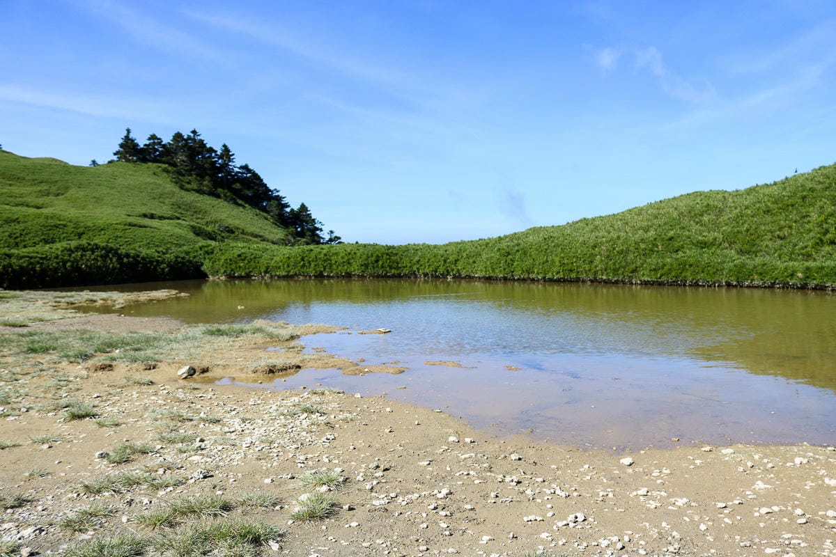 奇萊南華三天兩夜 奇萊南峰南華山 滾動在金色大草原上享樂大自然