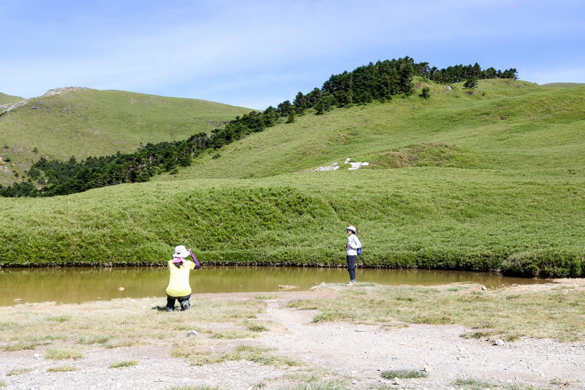 奇萊南華三天兩夜 奇萊南峰南華山 滾動在金色大草原上享樂大自然