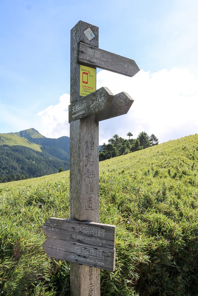 奇萊南華三天兩夜 奇萊南峰南華山 滾動在金色大草原上享樂大自然