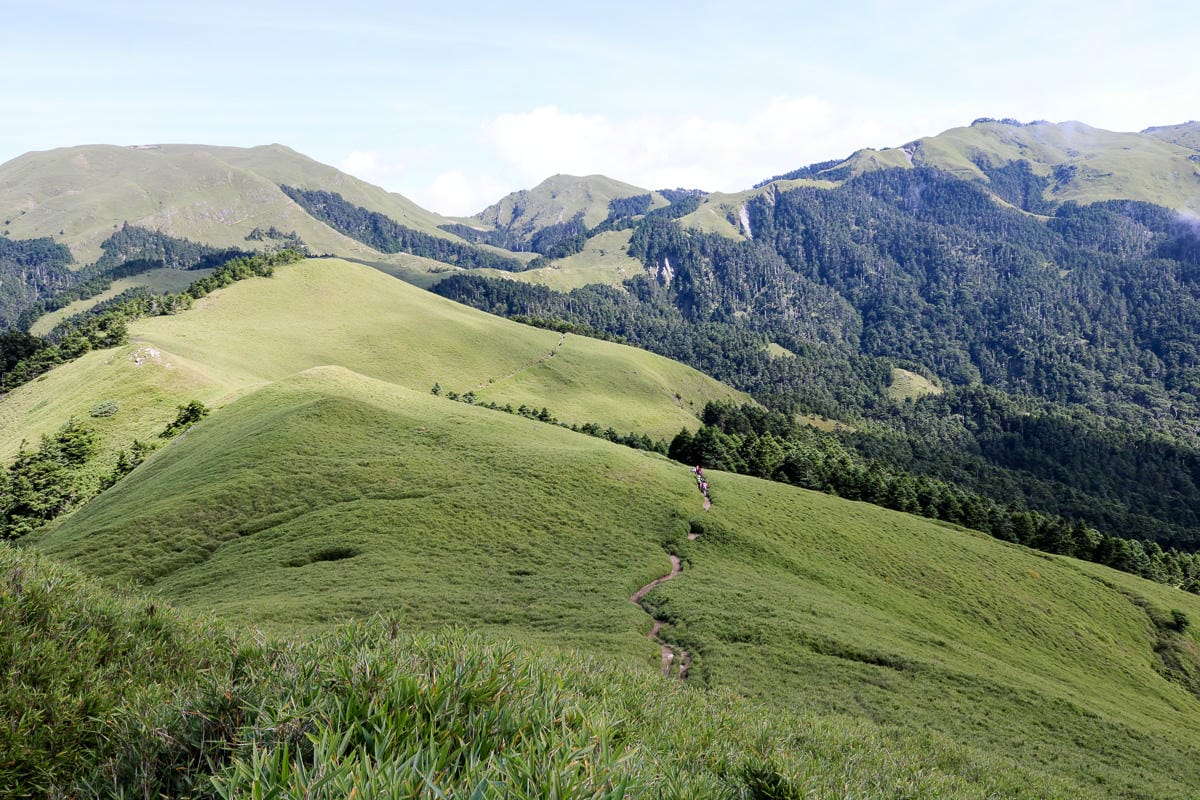 奇萊南華三天兩夜 奇萊南峰南華山 滾動在金色大草原上享樂大自然