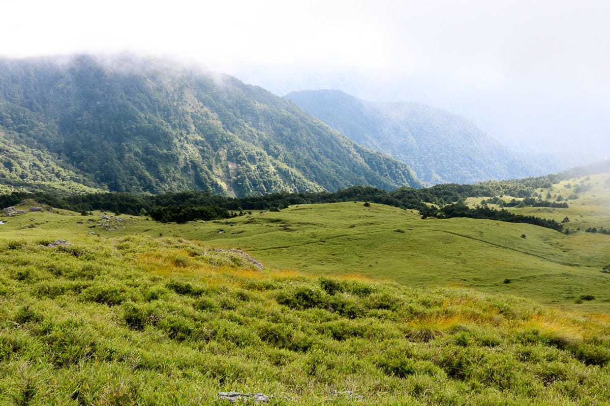奇萊南華三天兩夜 奇萊南峰南華山 滾動在金色大草原上享樂大自然