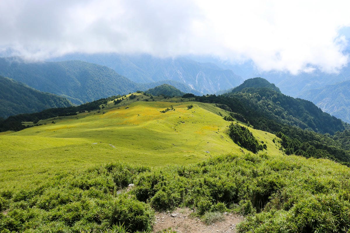 奇萊南華三天兩夜 奇萊南峰南華山 滾動在金色大草原上享樂大自然