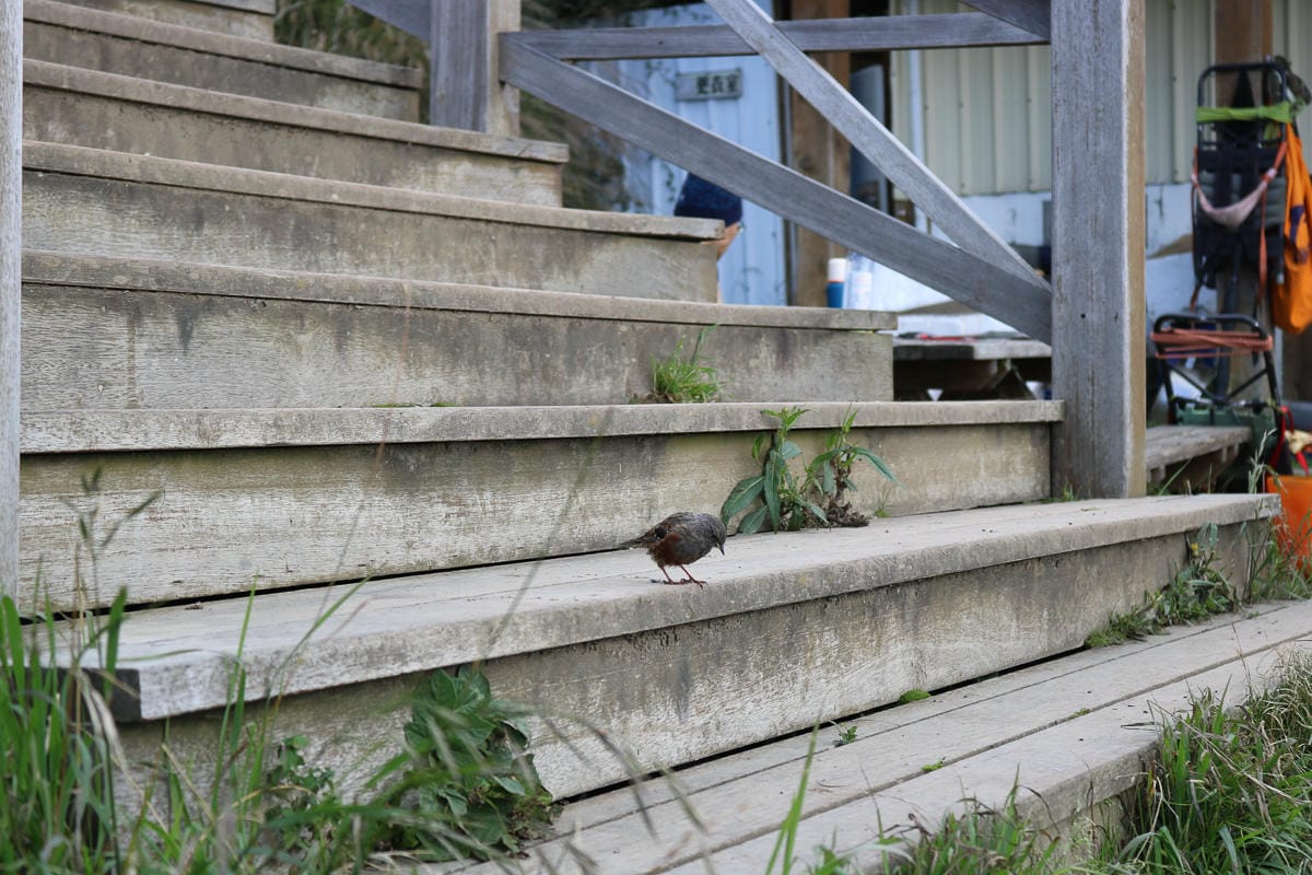 三六九山莊入住感想 雪山新手雪霸宿營地抽籤搶床位