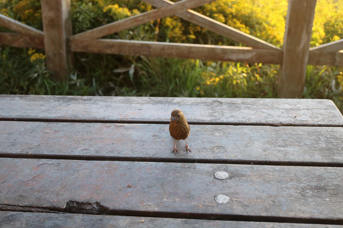 三六九山莊入住感想 雪山新手雪霸宿營地抽籤搶床位